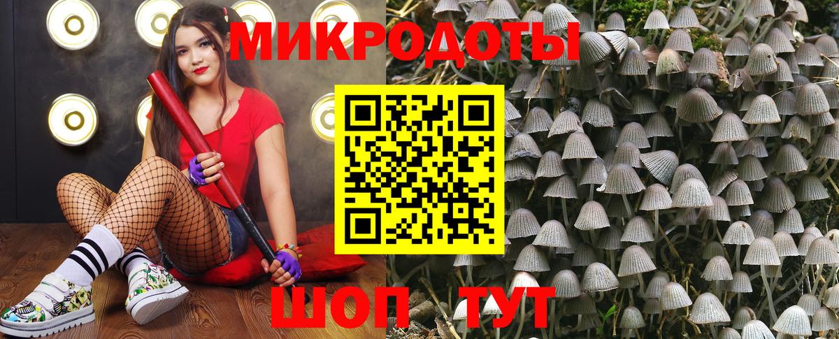 Галлюциногенные грибы Psilocybine cubensis  цена   Омск  Вход с VPN 